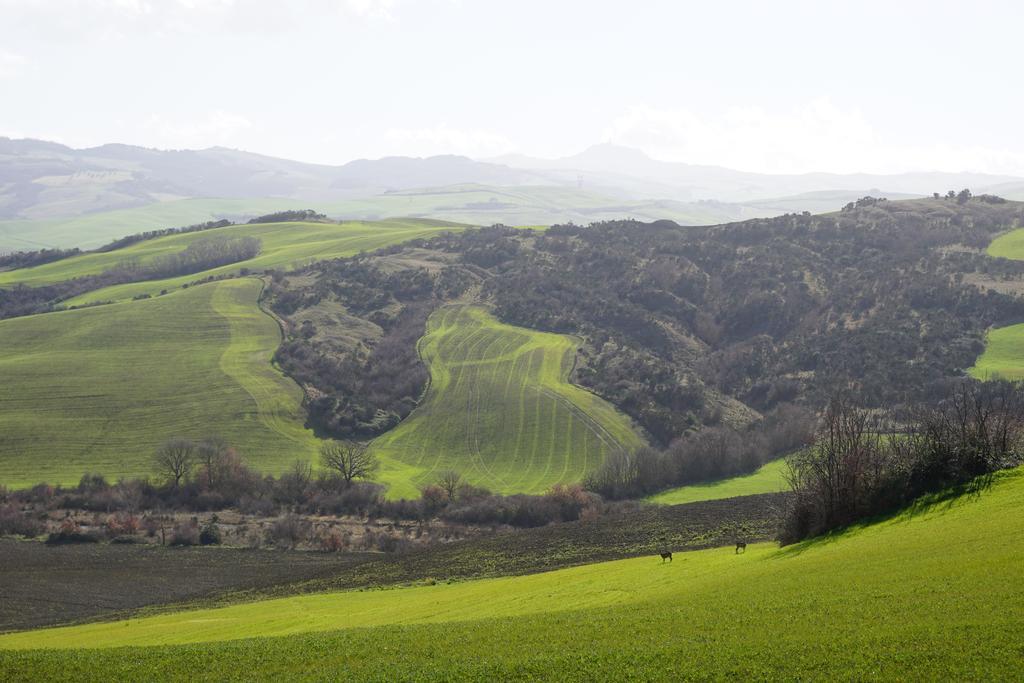 La Tana Del Bianconiglio Villa Castiglione dʼOrcia Екстериор снимка